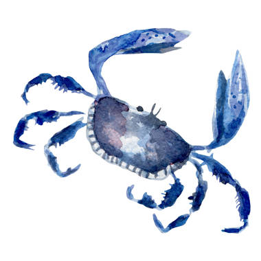Stupell Industries Detailed Crab Wildlife Blue Ocean Sea Life Wall
